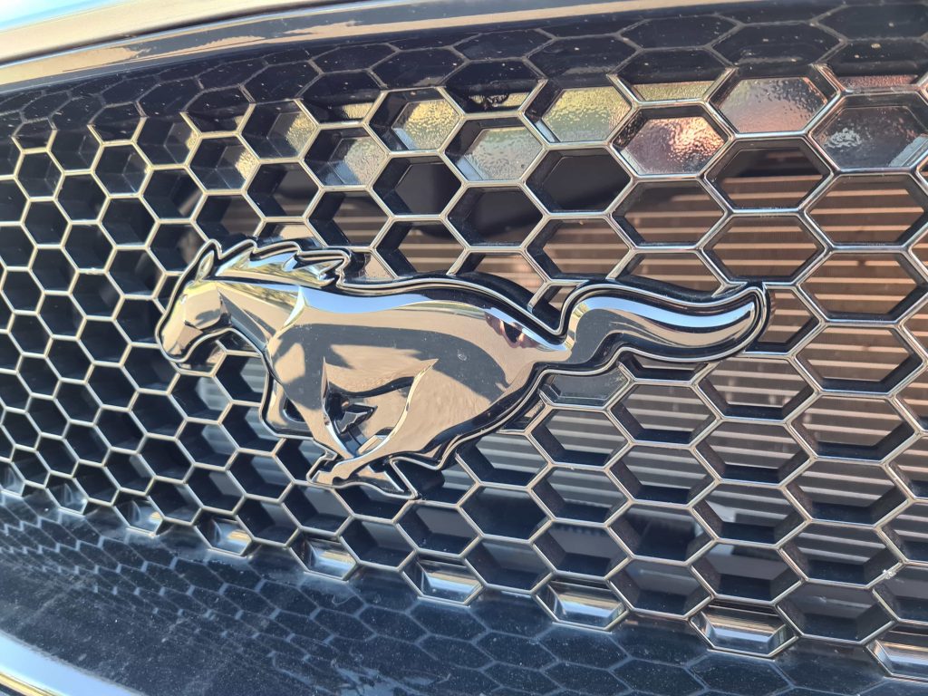 Silver Ford Mustang logo